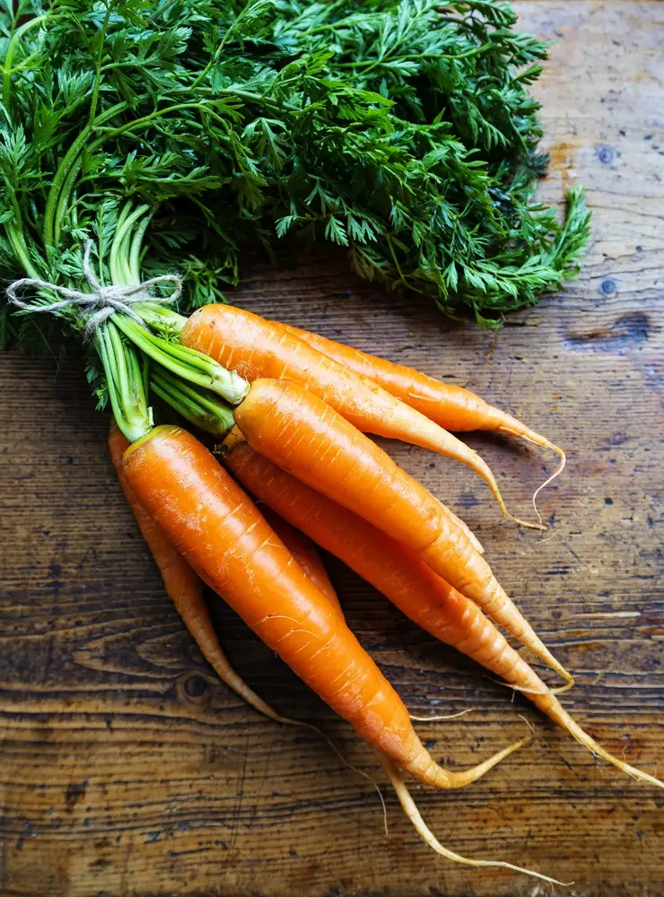 Bunch of carrots