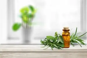 Rosemary Essential oil bottle with rosemary sprig. 